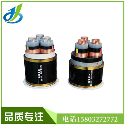 电力电缆 布电线 单芯电线 控制电缆 架空电缆 阻燃电缆 厂家直销 交联聚乙烯绝缘电力电缆价格图片_高清图_细节图-河北环亚线缆 -